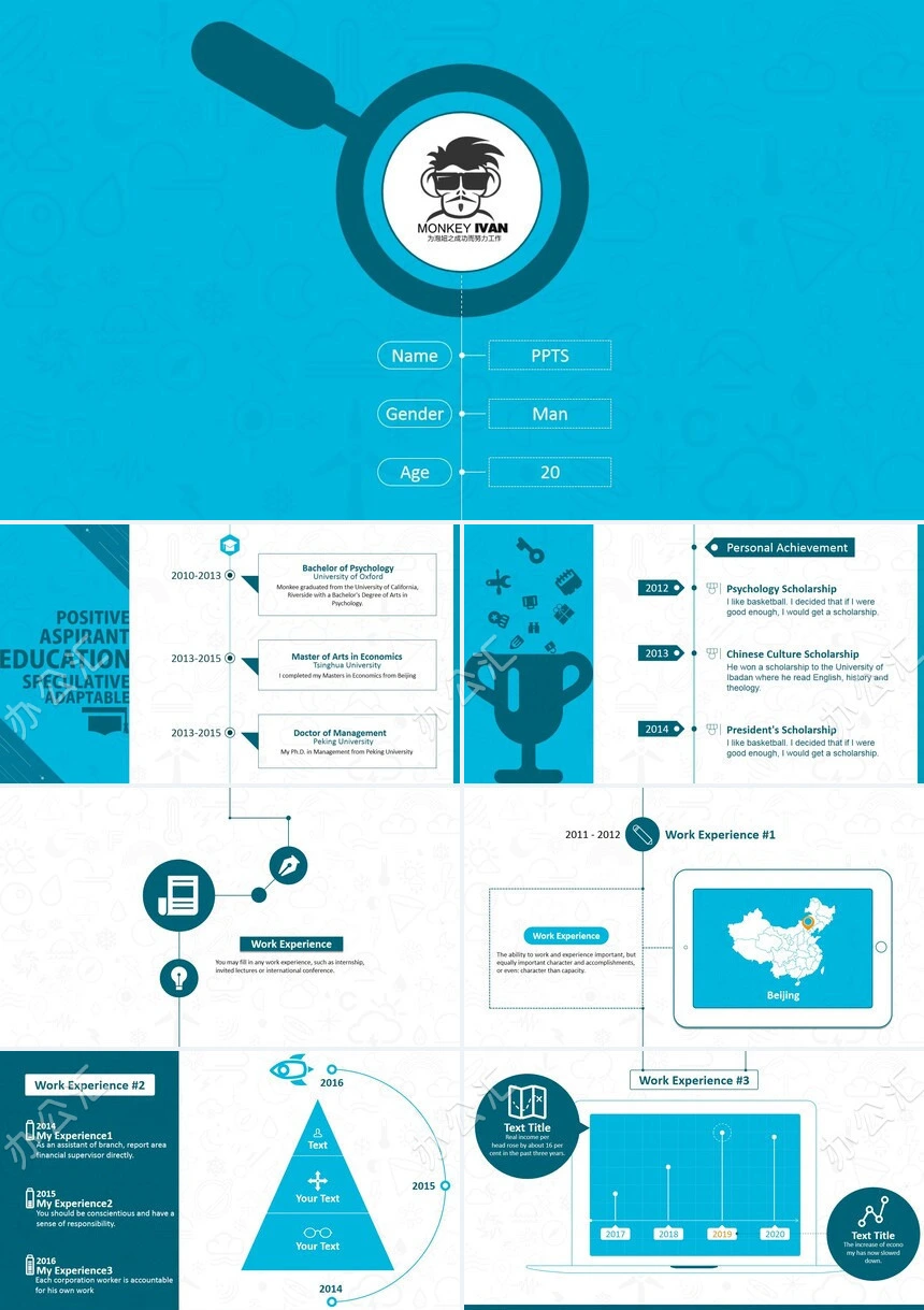 竞聘简历通用PPT模板(14)