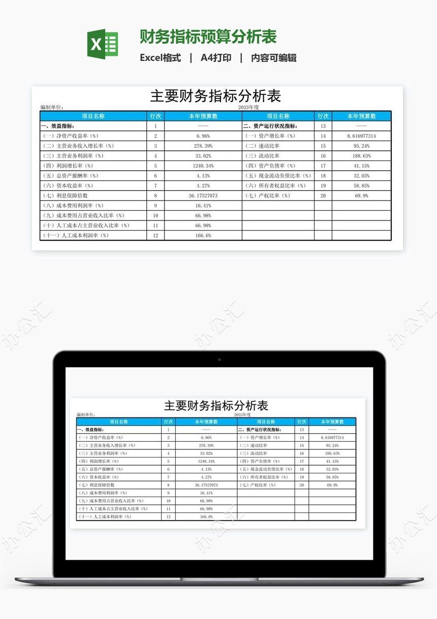 财务指标预算分析表