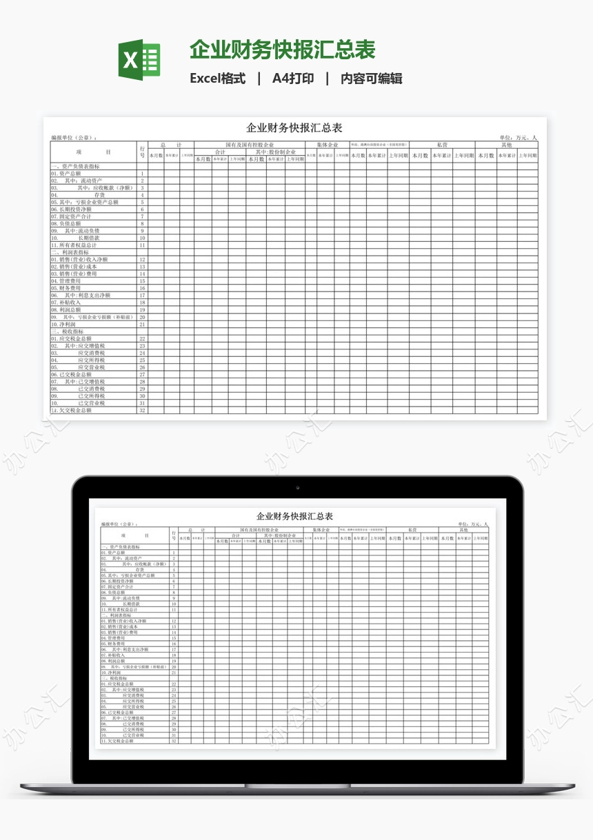 企业财务快报汇总表