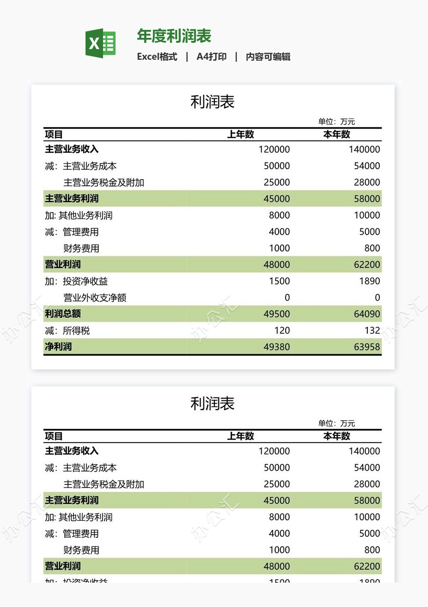 年度利润表