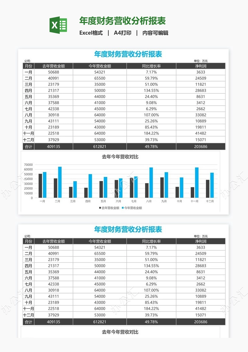 年度财务营收分析报表
