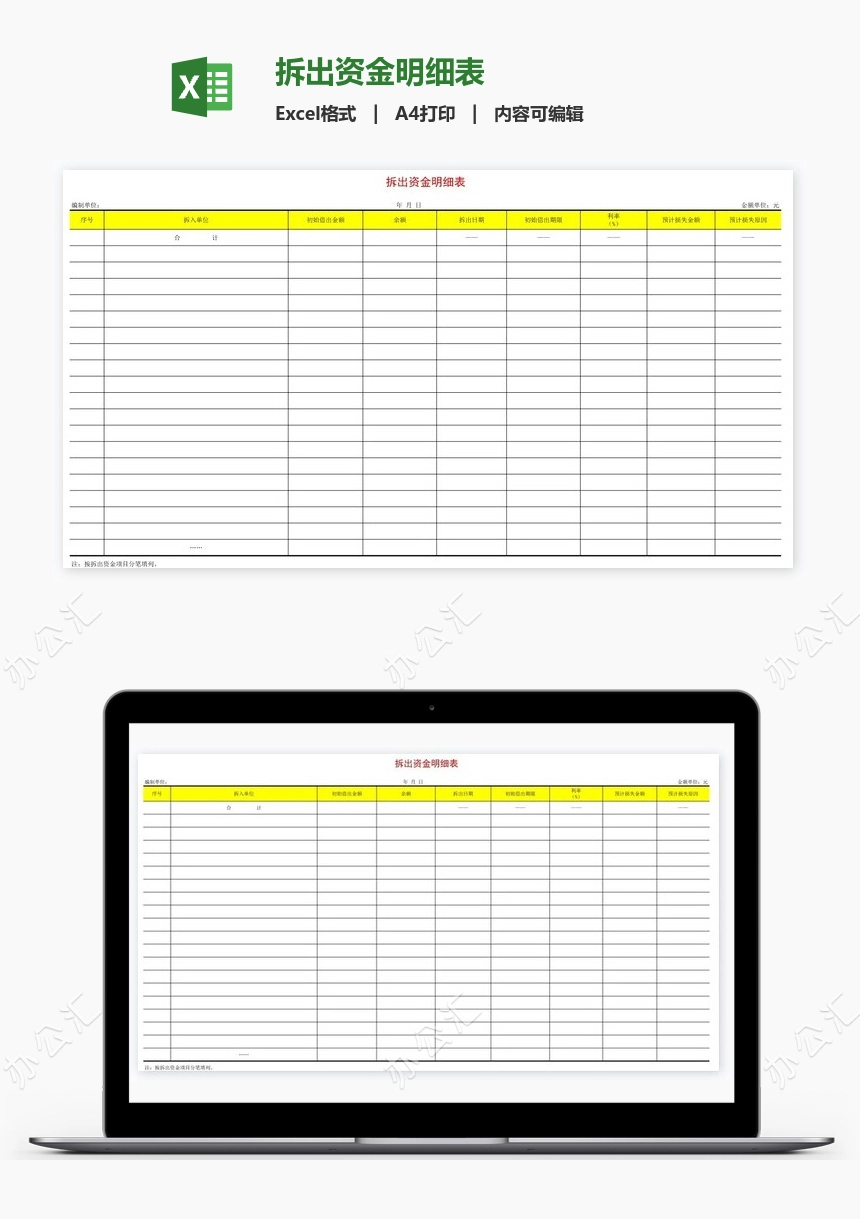 拆出资金明细表
