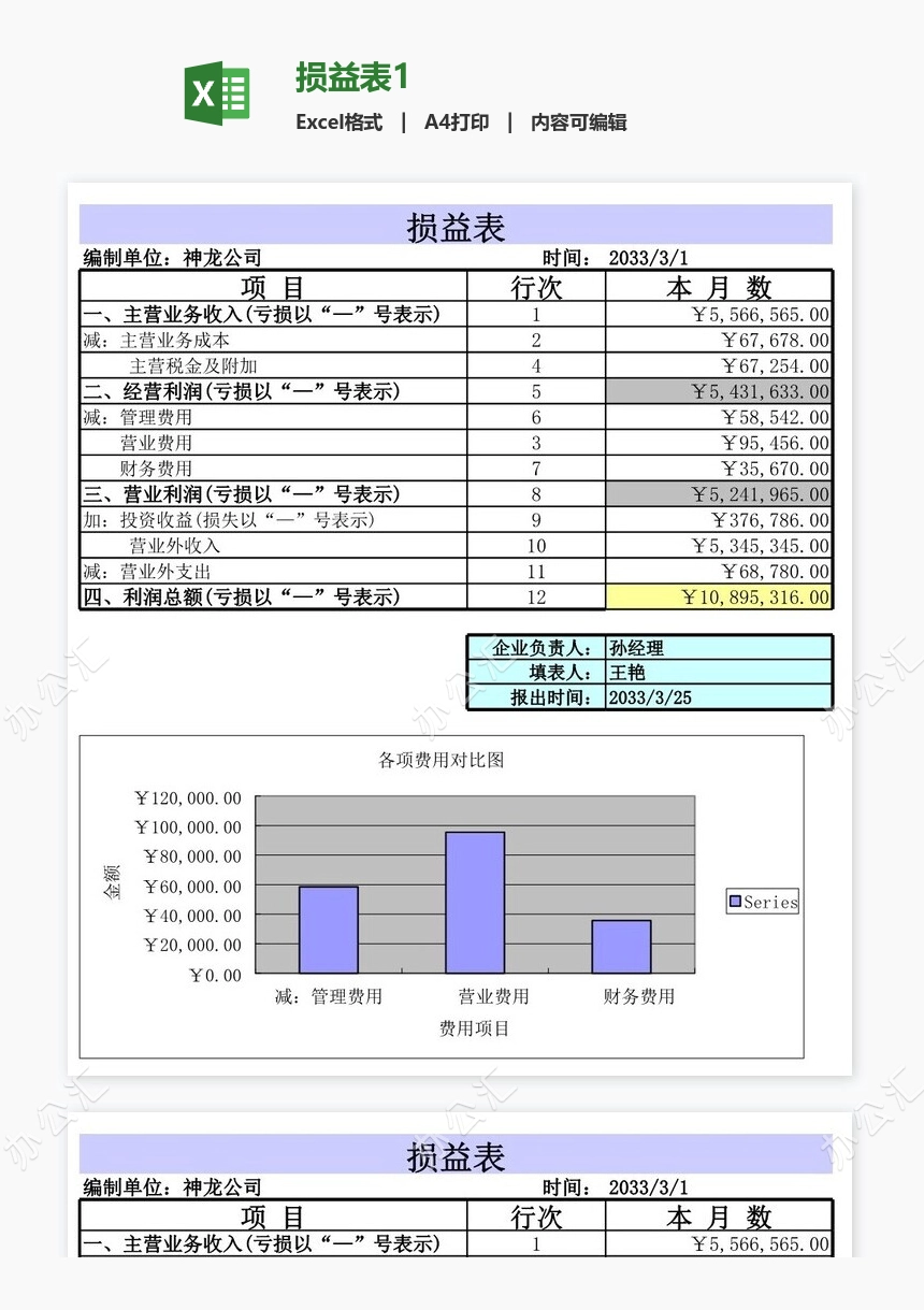 损益表1