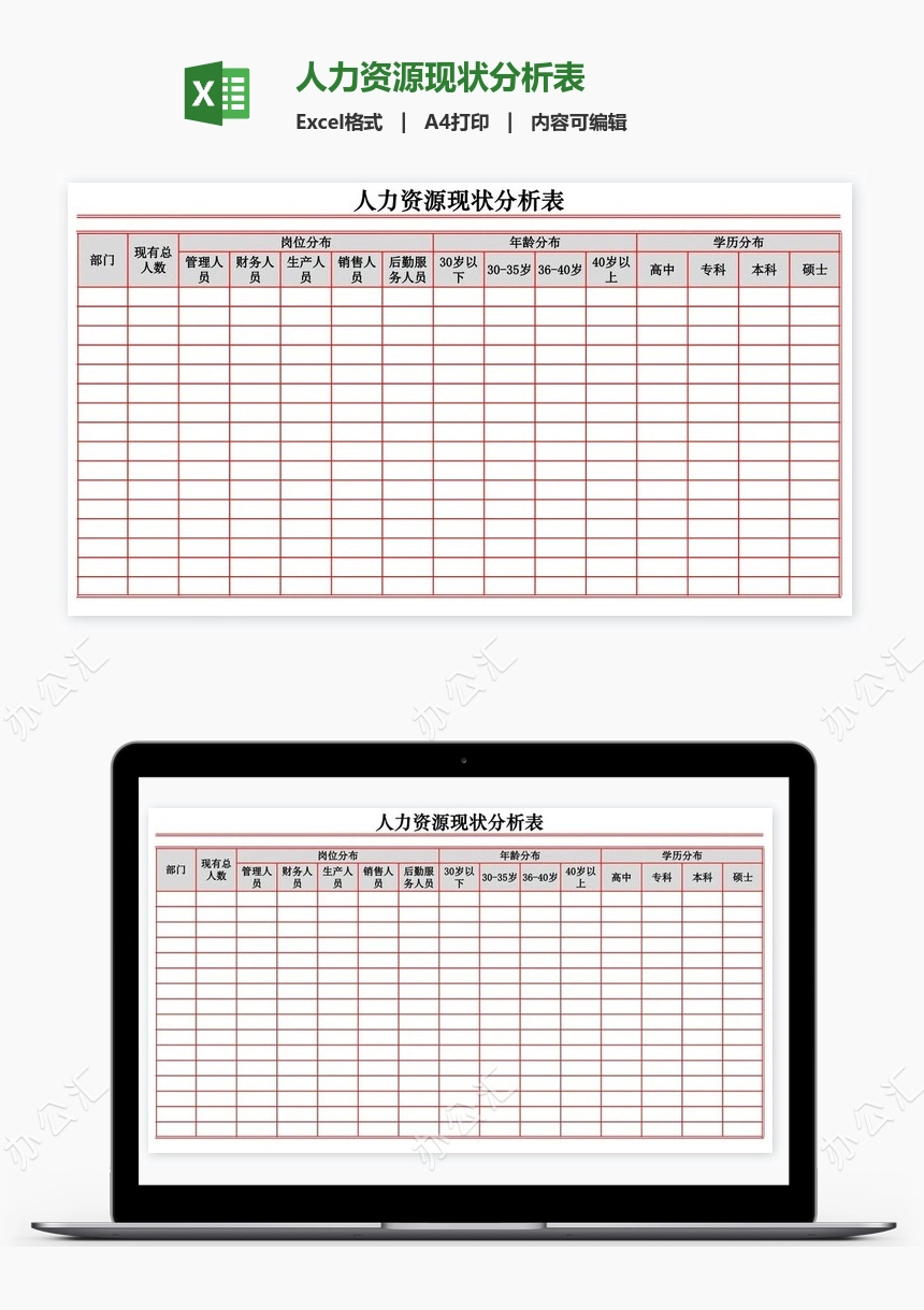 人力资源现状分析表