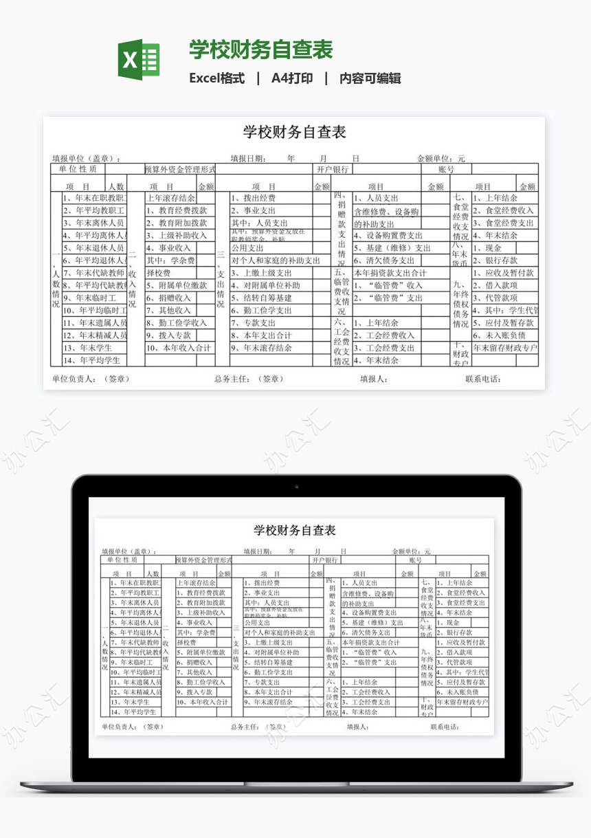 学校财务自查表