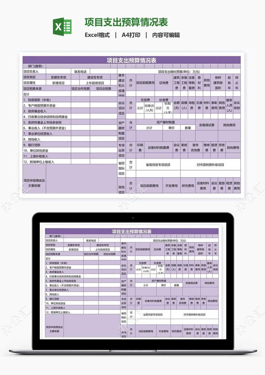 项目支出预算情况表